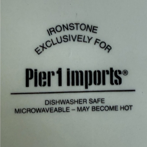 Pier 1 Imports Ironstone Plate Dogs & Cats with Headphones Design - Picture 3 of 3